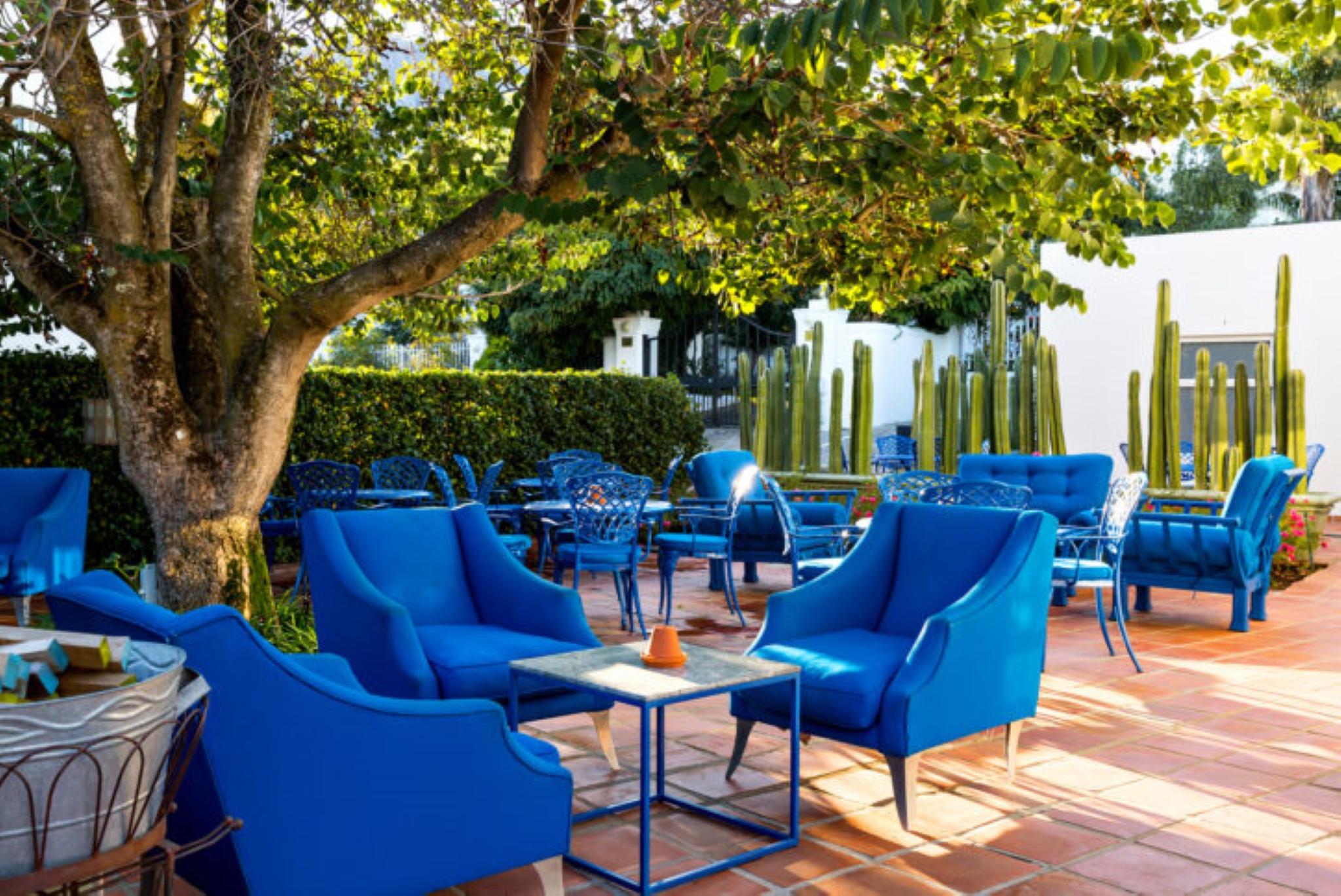 Hotel Majeka House à Stellenbosch Extérieur photo